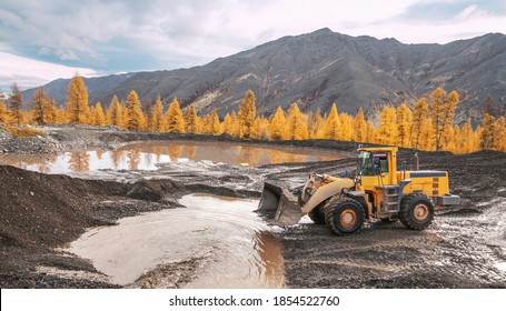Wheel loader at work. It transports gold-bearing mountain soil to the hopper of the washing device. The gold mining industry in Eastern Siberia widely uses such equipment as front loader, bulldozers