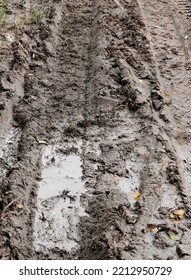 Wheel Mark On Muddy, Texture Background