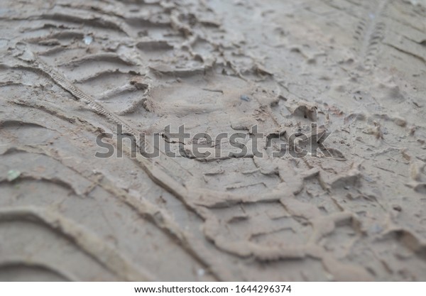 Wheel marks on mud on the\
ground