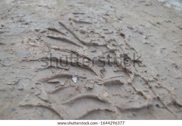 Wheel marks on mud on the\
ground