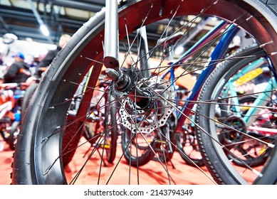 Wheel of modern mountain bicycles in sports shop