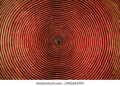 Wheel of Motion. Circular Color Pattern of Life. Historical Culture Architecture Roof Design Building for Inspirations