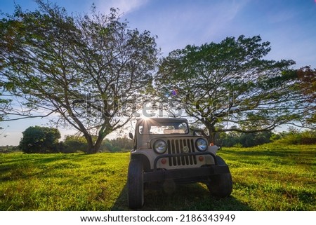 $ wheel off road jeep car on green grass with tree forest adventure activity