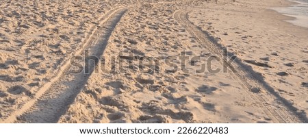 wheel print on beach sand