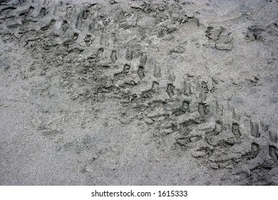 Wheel Track