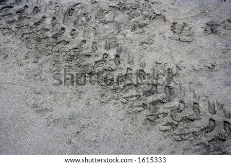 Wheel Track