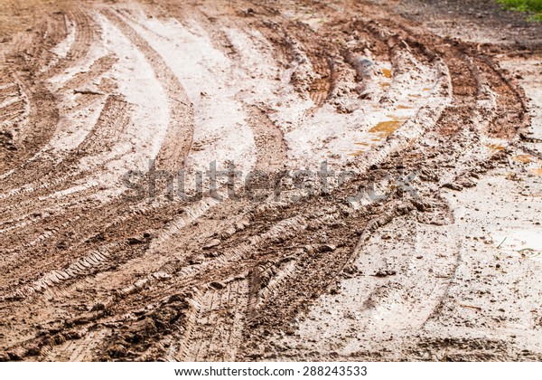 Wheel track in mud\
road.