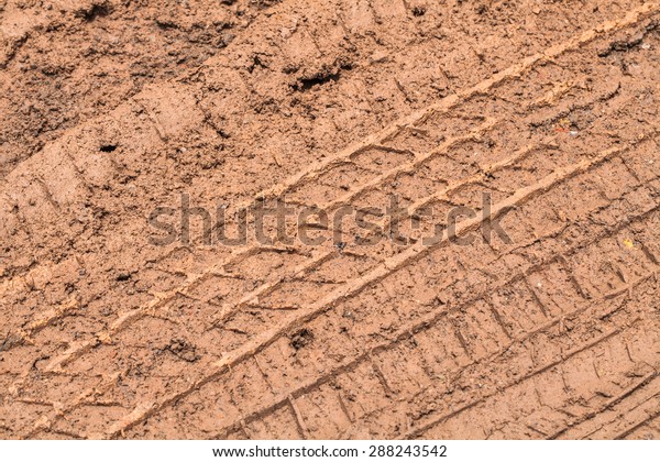 Wheel track in mud\
road.