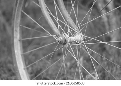 Wheel Of Vintage Dirty Old Bicycle Against Grass, Metal Bike Rim, Rims Spokes And Hub Of Retro Bike, Colorless Without Color 