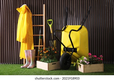 Wheelbarrow, blooming plants, gardening tools and accessories on green grass near wood slat wall - Powered by Shutterstock