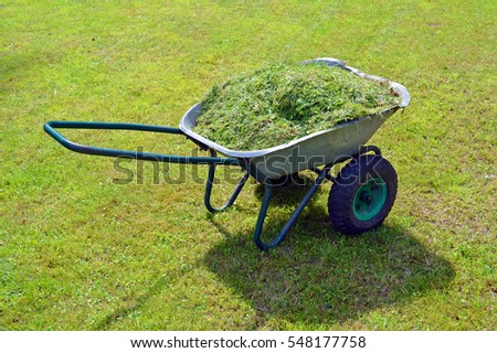 Wheelbarrow with cut grass