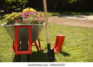 Wheelbarrow with different beautiful flowers, shovel and rubber boots outdoors, space for text - Powered by Shutterstock