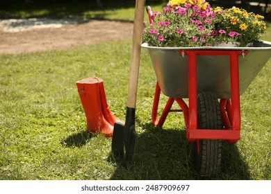 Wheelbarrow with different beautiful flowers, shovel and rubber boots outdoors, space for text - Powered by Shutterstock