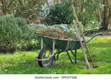 Wheelbarrow Full With Garden Weeds And Tools In A Garden 