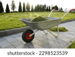 A wheelbarrow full of grass used to transport the grass. Wheelbarrow in the garden. Gardening.