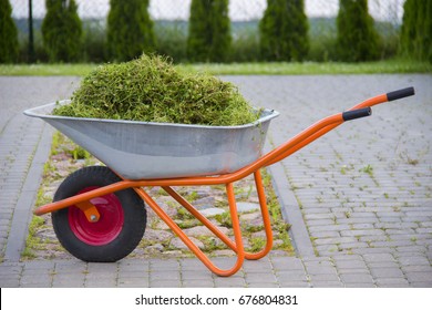 Wheelbarrow With Garden Waste On A Lawn.