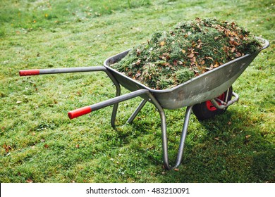 Wheelbarrow With Grass On Green Lawn Background