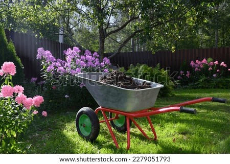 Wheelbarrow with hummus on green lawn in private farmhouse. Autumnal seasonal work in flower garden. Fertilization for flowers. Outdoors.