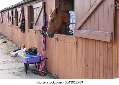 A Wheelbarrow for Mucking Out at a Horse Stables. - Shutterstock ID 2043012989