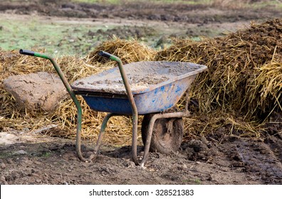 Wheelbarrow With Natural Cattle Manure On The Farm