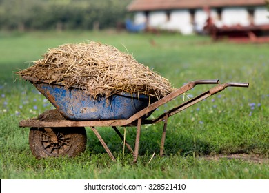 Wheelbarrow with natural cattle manure on the grass. Barn in background