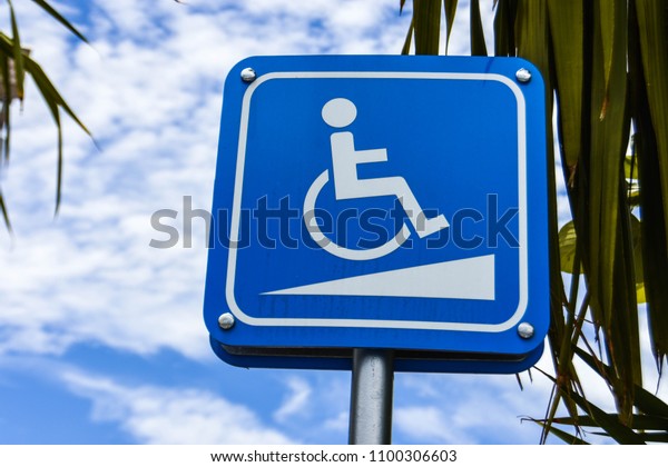The wheelchair parking ticket for the disabled\
was ignored until the tree covered, obscured visibility. Can not be\
seen clearly\
