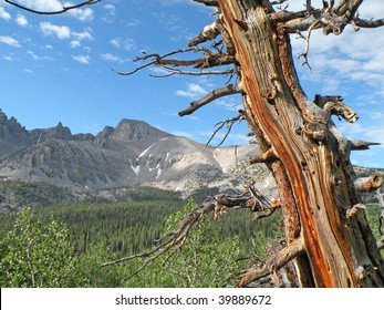 Wheeler Peak In Great Basin National Park