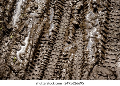 Wheelmarks in the mud from mountain bikes on sunny day on a trail in the Sauerland. Brown track structures in a puddle, after several cyclists have ridden through it. Outdoor cycling background. - Powered by Shutterstock