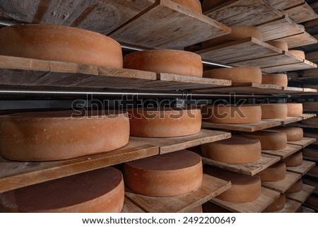 Similar – Image, Stock Photo Molds on cheese
