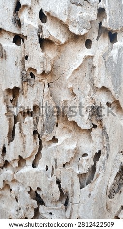 When building their nests, termites cripple living tree trunks.