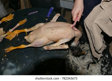 When A Goose Is Slaughtered, The Guts, Such As The Stomach, Liver, Heart And Other Organs Are Disemboweled