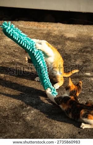 When kittens play with feather dusters or fluttering threads, their brains immediately signal them to pounce.
