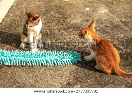 When kittens play with feather dusters or fluttering threads, their brains immediately signal them to pounce.