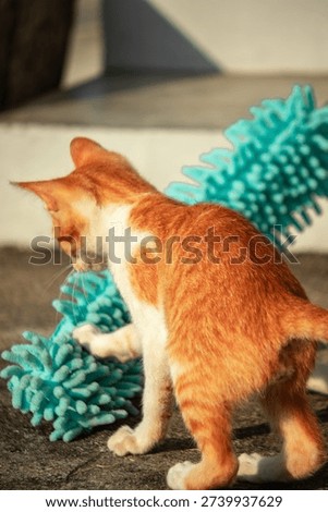 When kittens play with feather dusters or fluttering threads, their brains immediately signal them to pounce.