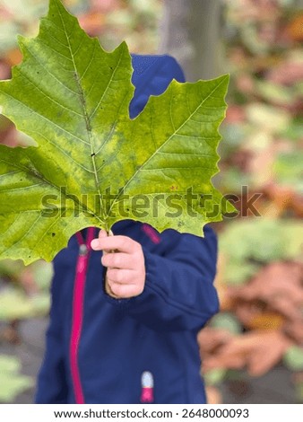 When the leaf is bigger