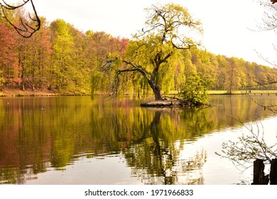 When Nature Rebirth During The Spring Time, Forest Brings Us Lot Of Diversity When It Turns Green Gradually. Serene Beauty Of Lake Inside Forest Is Add New Dimension Of Nature Beauty