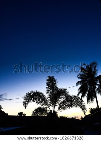 Similar – Image, Stock Photo twilight Lifestyle