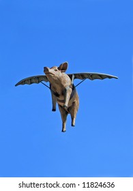 When Pigs Fly