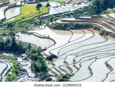 when the rainy season comes, water pours into the fields and a new rice crop in Hoang Su Phi, Ha Giang begins. Photo taken at Hoang Su Phi, Ha Giang in June 2019