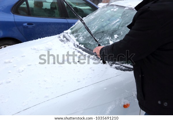 When it\'s snowing, every\
standing car in the parking lot is covered with a white layer of\
petals.\
