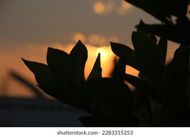 When the sun goes down