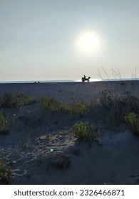 when the sun shine almost the end but still give beautiful moment