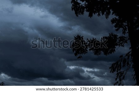 When two extremely opposing types of air meet, the lighter, warmer air is rapidly pushed upwards, condensing into large rain clouds called cumulonimbus clouds, or anvil-shaped clouds, which are the source of intense storms.