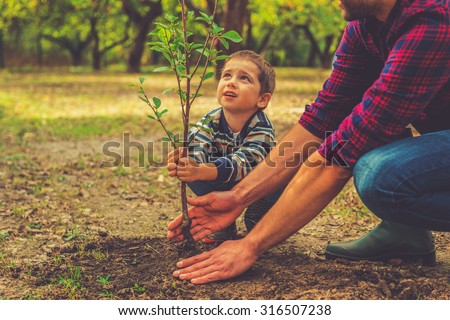 When will it grow? Curious little boy helping his father to plant the tree while working together in the garden