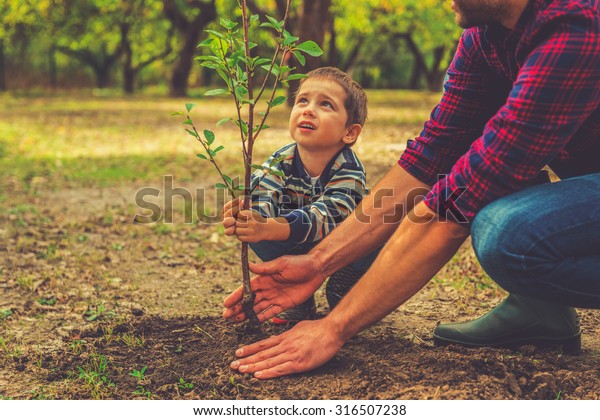 When will it grow? Curious little boy helping his father to plant the tree while working together in the garden