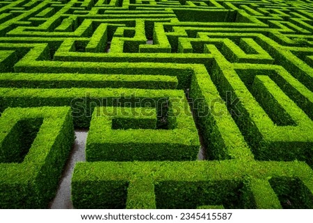 When you get lost in a maze