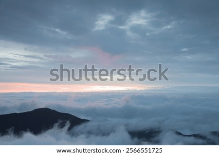 When you look down from Mt. Tsubaku in summer, the sea of ​​clouds shimmering in the morning sun envelops the mountains, creating a spectacular view.