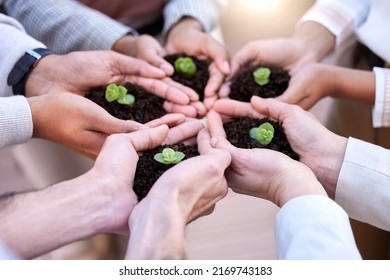 When You Nurture Things, They Grow. Shot Of A Group Of Unrecognizable Businesspeople Holding Plants In Soil At Work.