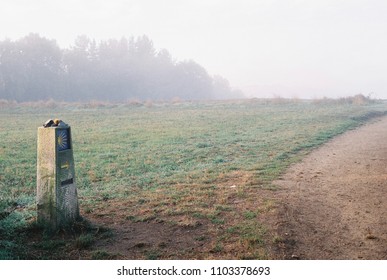 Where to headed