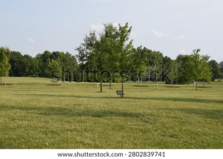 Where Hydrants guard the quiet